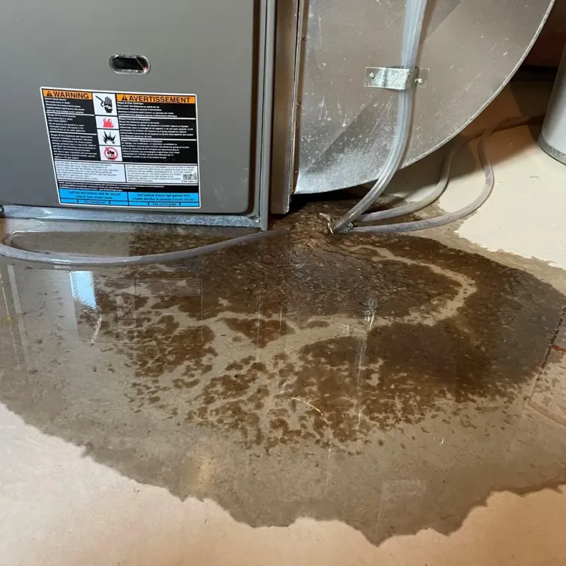 Appliance Leak Cleanup in Roanoke Rapids, NC